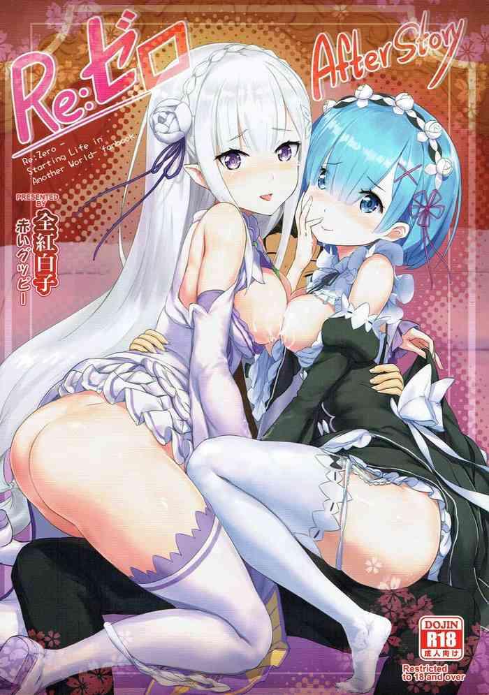 re zero after story cover