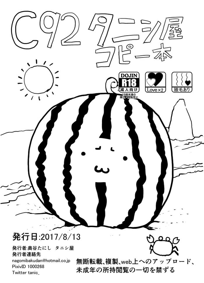 cover 25
