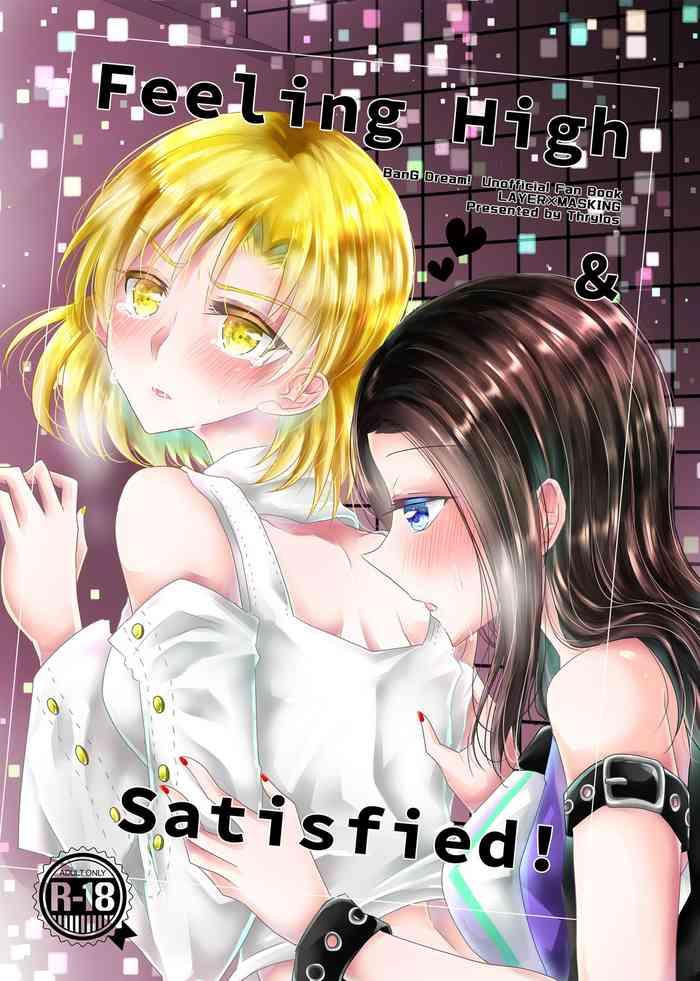 feeling high satisfied cover